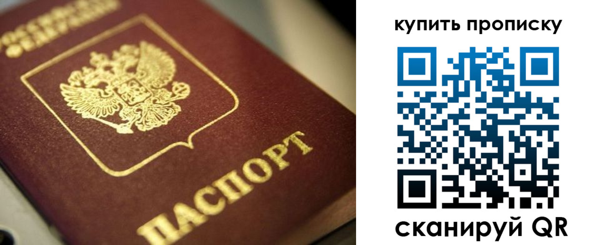 прописка поиск в Оренбурге